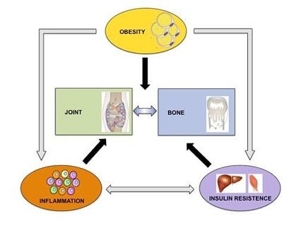 Towards entry "Experts network to combat widespread diseases"