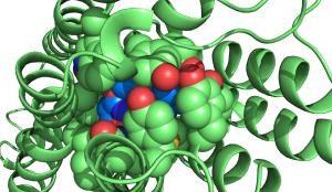 Towards entry "State-of-the-art medication and innovative cancer treatment"