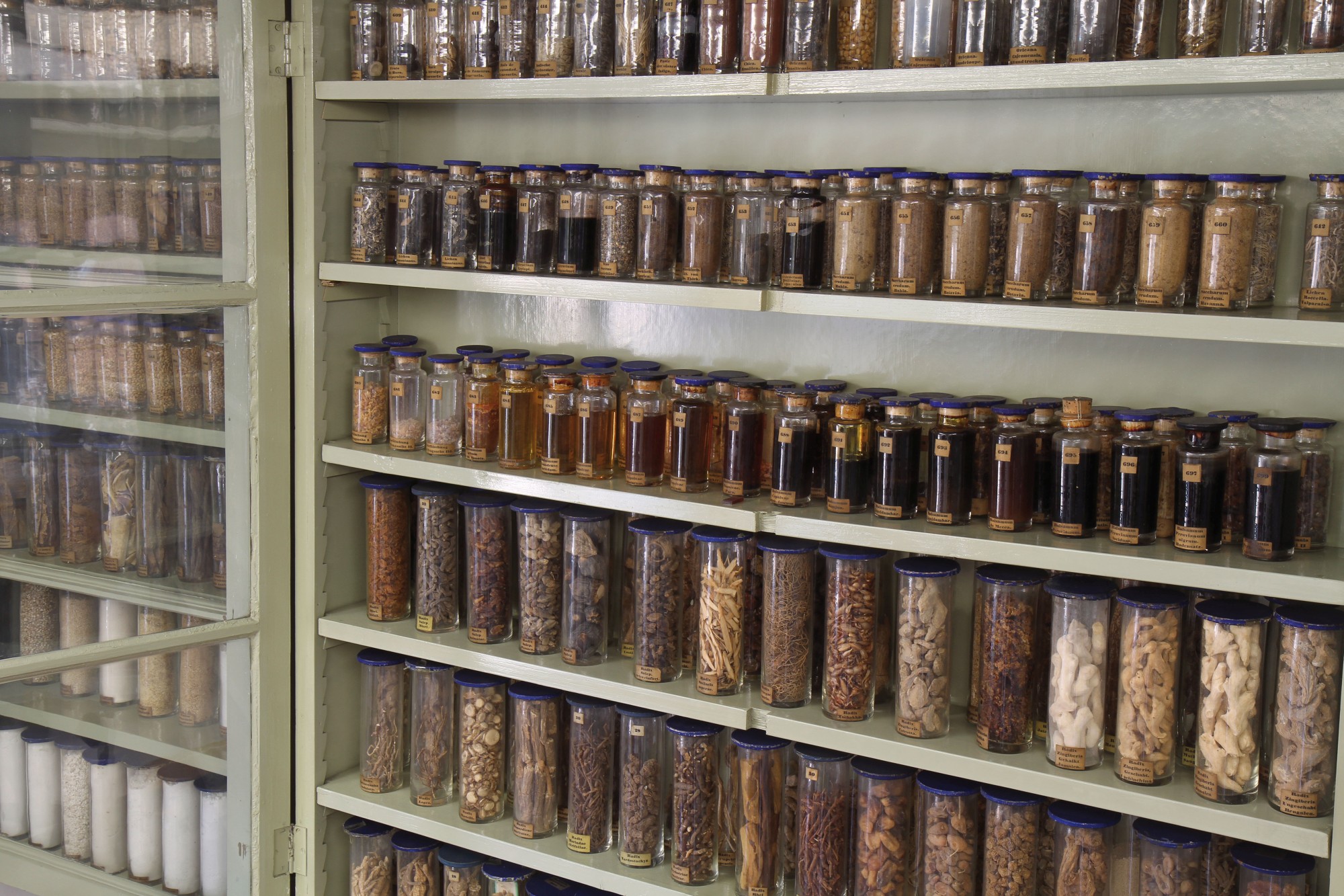 Rows of ingredients used to make medications (Image: Georg Pöhlein)