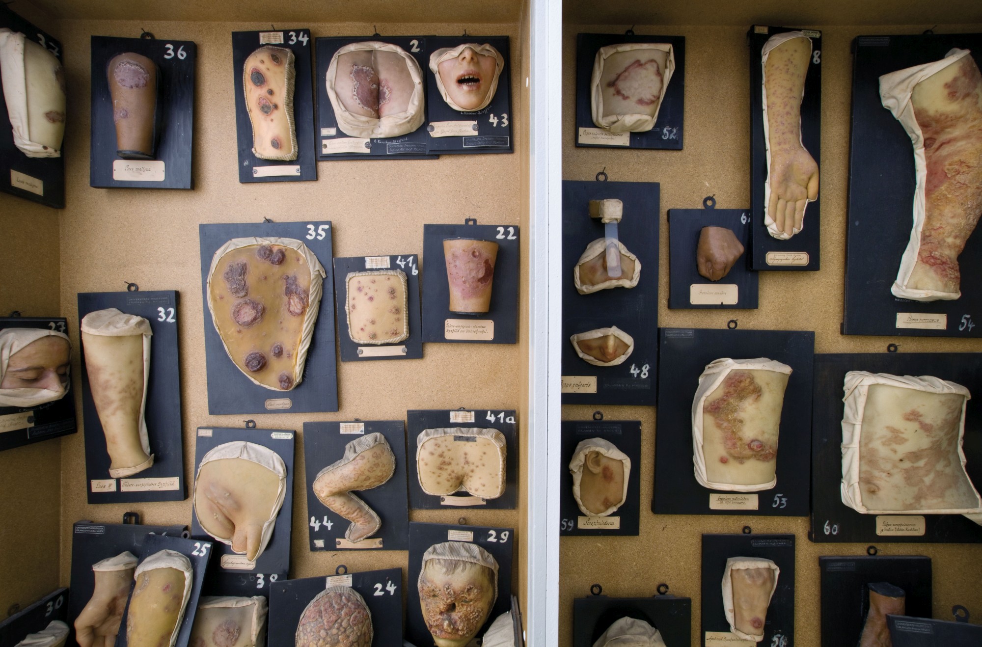 Some of the moulages before they were moved to their new location (Image: Georg Pöhlein)