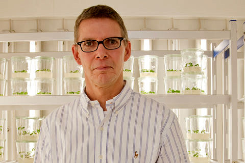 Towards entry "Securing future food supply for the developing world"