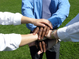 Towards entry "Accepted? Effective?"