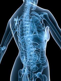 Towards entry "Immunotherapy for lung cancer"