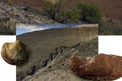 Towards entry "After the impact"