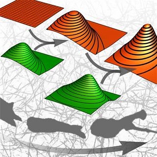 Towards entry "FAU researchers uncover patterns in the movement of cancer cells"