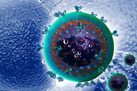 Towards entry "HIV remains highly active despite therapy"