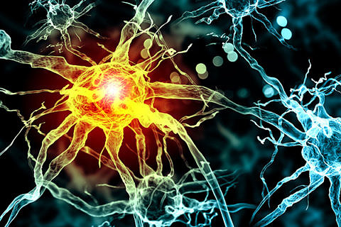 Towards entry "Stem cells as a window to the brain"