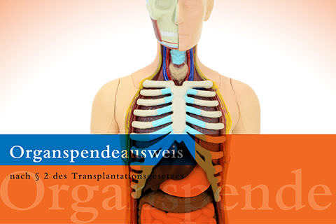 Towards entry "Organ donation: Yes? No? Maybe?"