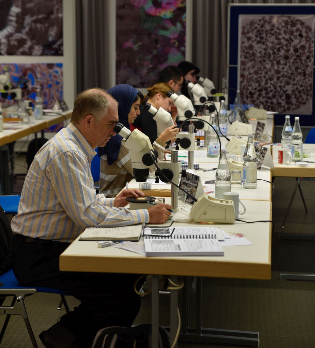 Focused work is part of the Flügel Course... (Image: FAU/Christina Dworak)
