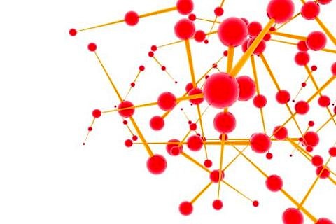 Towards entry "Cells that stick together"