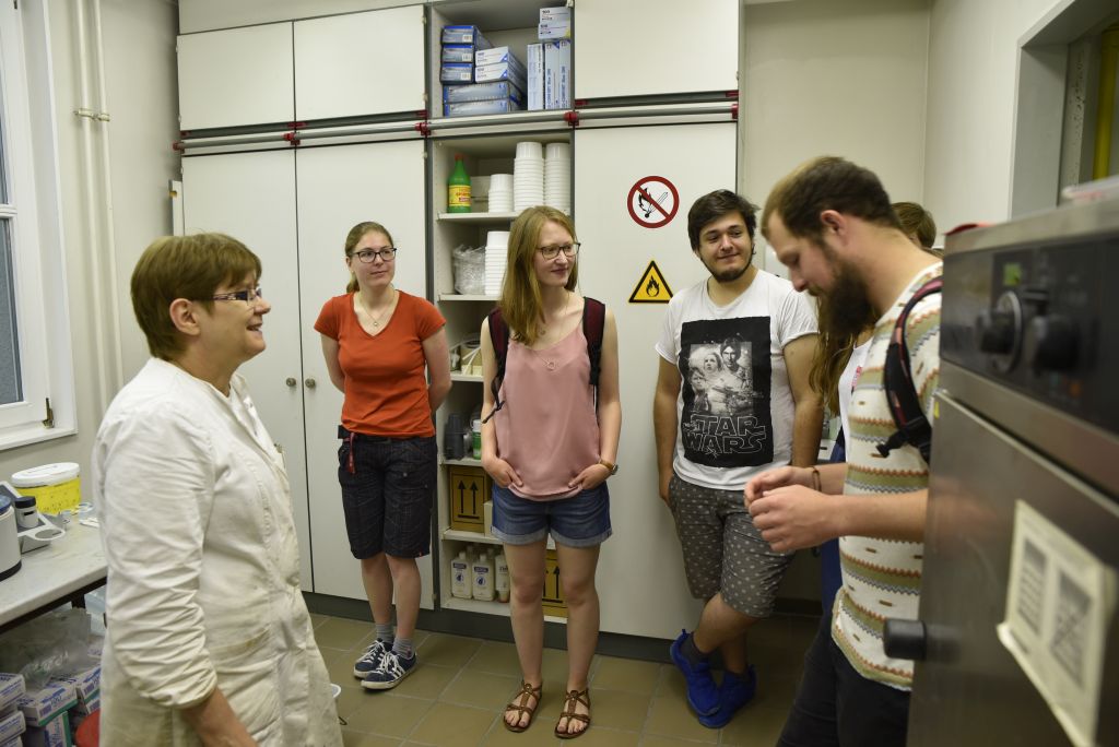 (Image: FAU/Christina Dworak)