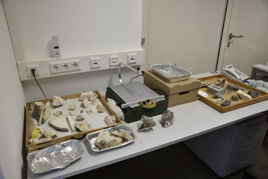 Material for a Palaeobiologist's work: corals. (Image: FAU/Christina Dworak)