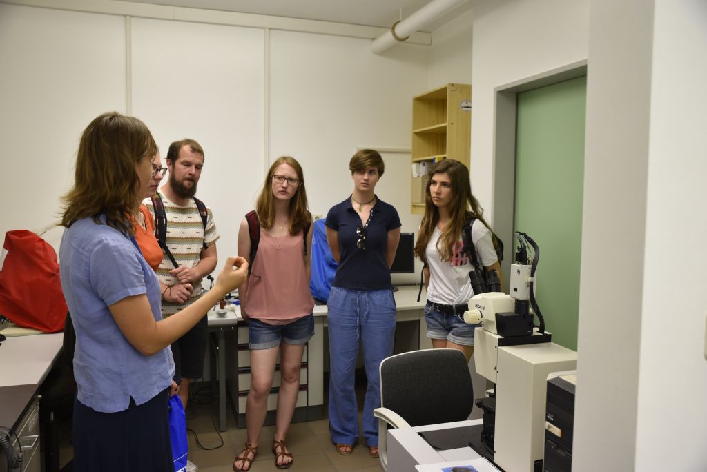 (Image: FAU/Christina Dworak)