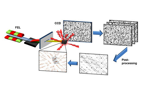 Towards entry "X-ray imaging with a significantly enhanced resolution"