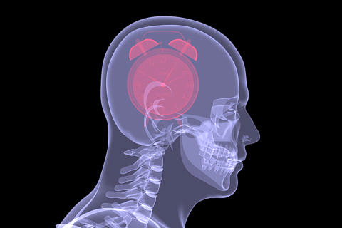 Towards entry "New recommended therapy for mechanical heart valves and intracerebral haemorrhage"