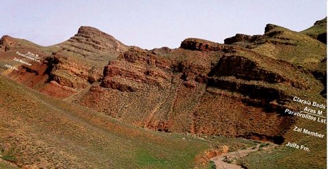 Towards entry "Mass extinction with prior warning"