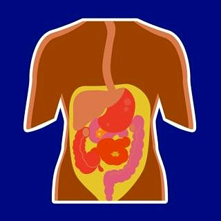 Towards entry "Seven million euros for research into chronic inflammatory bowel conditions"