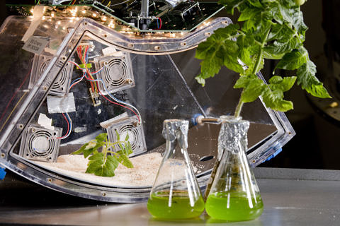 Towards entry "Micro Tina venturing into space"