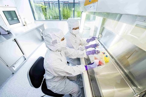 Towards entry "New immune therapy for treating cancer"