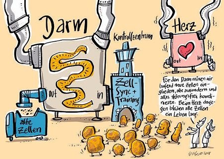 Towards entry "The cell is dead, long live the cell"