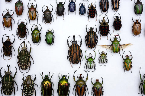 Towards entry "On the brink"