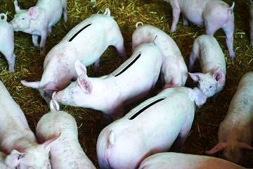 Towards entry "All about the money"