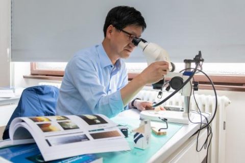 Towards entry "Working on fractures – International Fracto Course 2019 held in Erlangen"