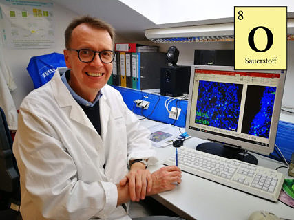 Towards entry "Celebrating 150 years of the periodic table"