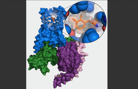 Towards entry "Structure decoded"