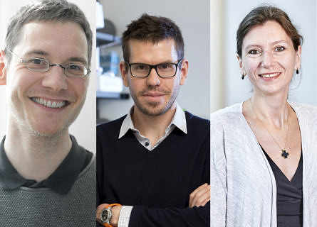 Towards entry "Three FAU researchers receive ERC Consolidator Grants"