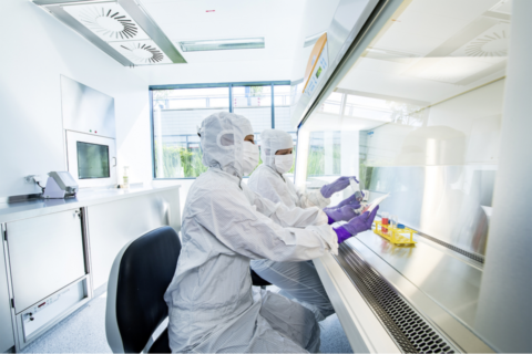 Towards entry "Researchers investigating use of a novel cell treatment in the fight against cancer"