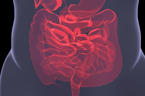 Towards entry "Enzymatic approach for targeted treatment of intestinal inflammation"