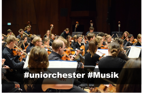 Symbolic picture for the article. The link opens the image in a large view.