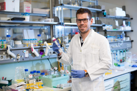 Towards entry "When macrophages let off steam"