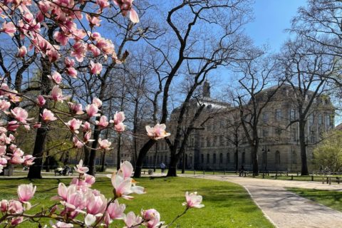 Image: @uni_fau / Celina Henning