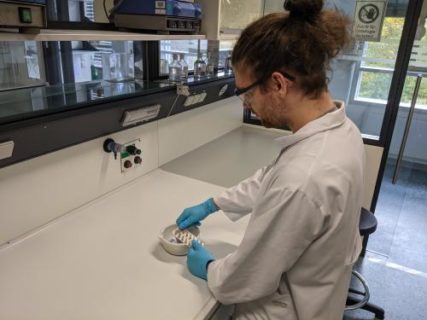 Symbolic picture for the article. The link opens the image in a large view.