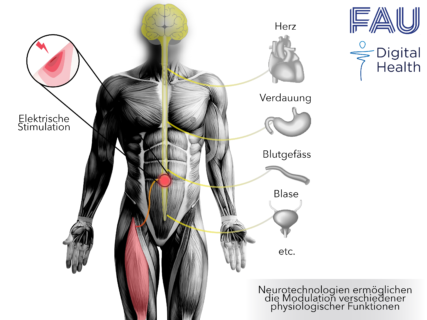 Symbolic picture for the article. The link opens the image in a large view.