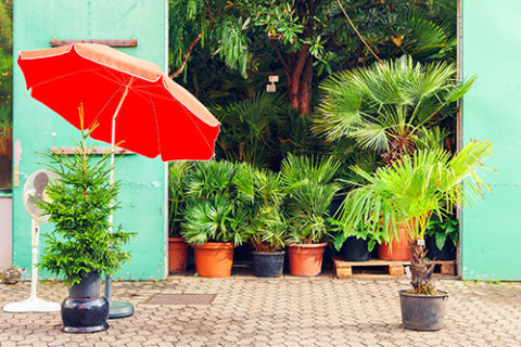 Symbolic picture for the article. The link opens the image in a large view.