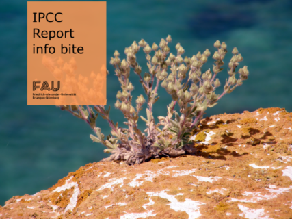 Towards entry "What are the goals of climate change adaptation?"