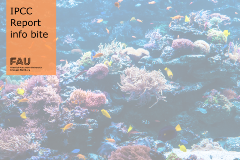 Towards entry "Why are biodiversity hotspots important?"