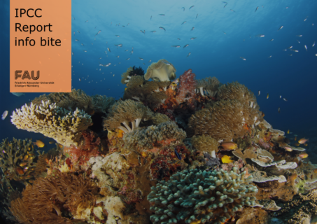 Towards entry "How is climate change affecting the oceans?"