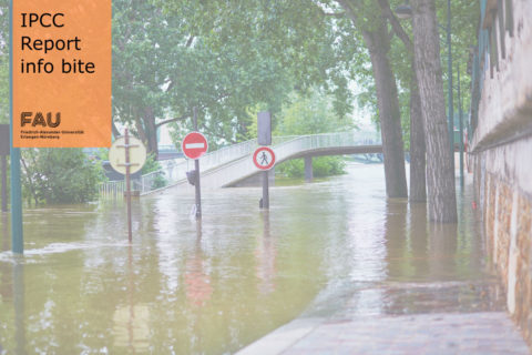 Towards entry "Why and how are cities especially vulnerable to the impacts of climate change?"