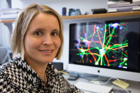 Towards entry "Gaining insights into spastic paraplegia"