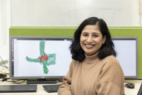 Symbolic picture for the article. The link opens the image in a large view.