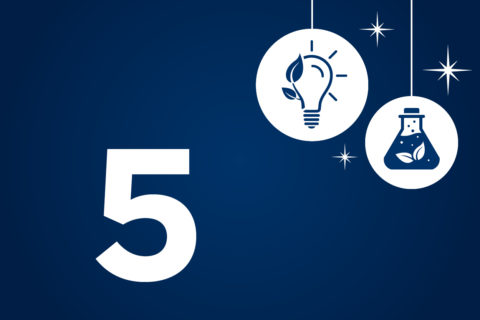 Symbolic picture for the article. The link opens the image in a large view.