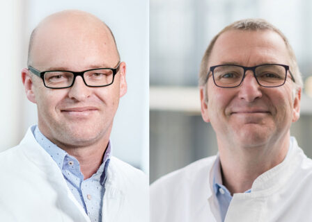 Towards entry "Testing their strength: CAR T-cells combat muscle inflammation"