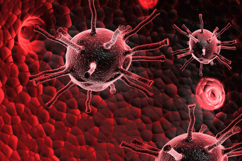 Towards entry "Creating an artificial pathologist"