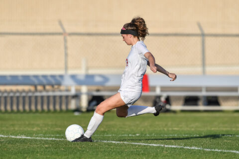 Towards entry "Investigating injuries to the anterior cruciate ligament"