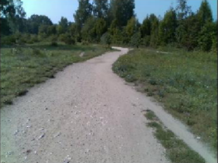 LOMOBI observes the path infront of it... Pic: FAU