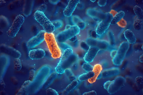 Towards entry "Battling resistant germs"